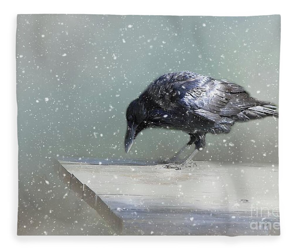 Common Raven Fleece Blanket featuring the photograph Raven in Winter by Eva Lechner