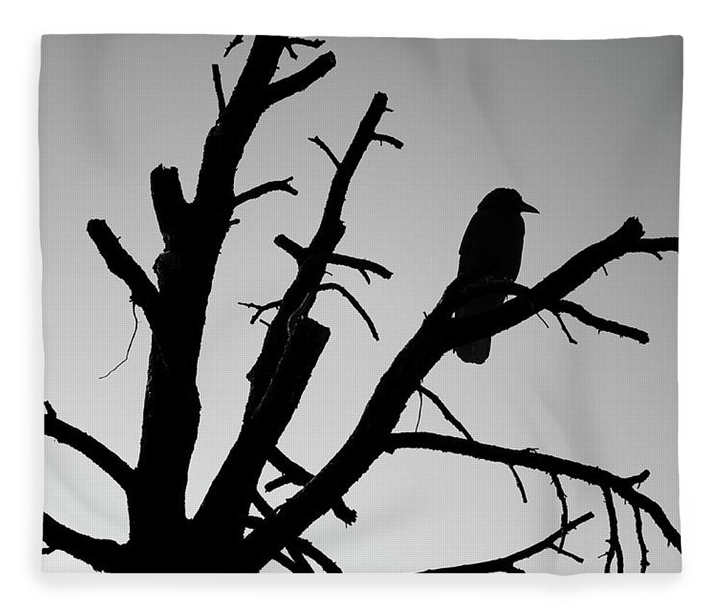 Tree Fleece Blanket featuring the photograph Raven Tree II BW by David Gordon