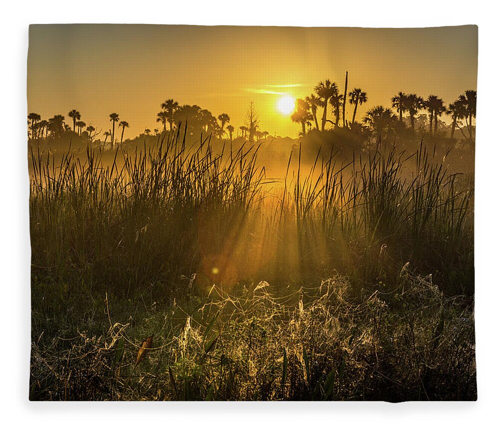 Sunrise Fleece Blanket featuring the photograph Rays of Light by David Hart