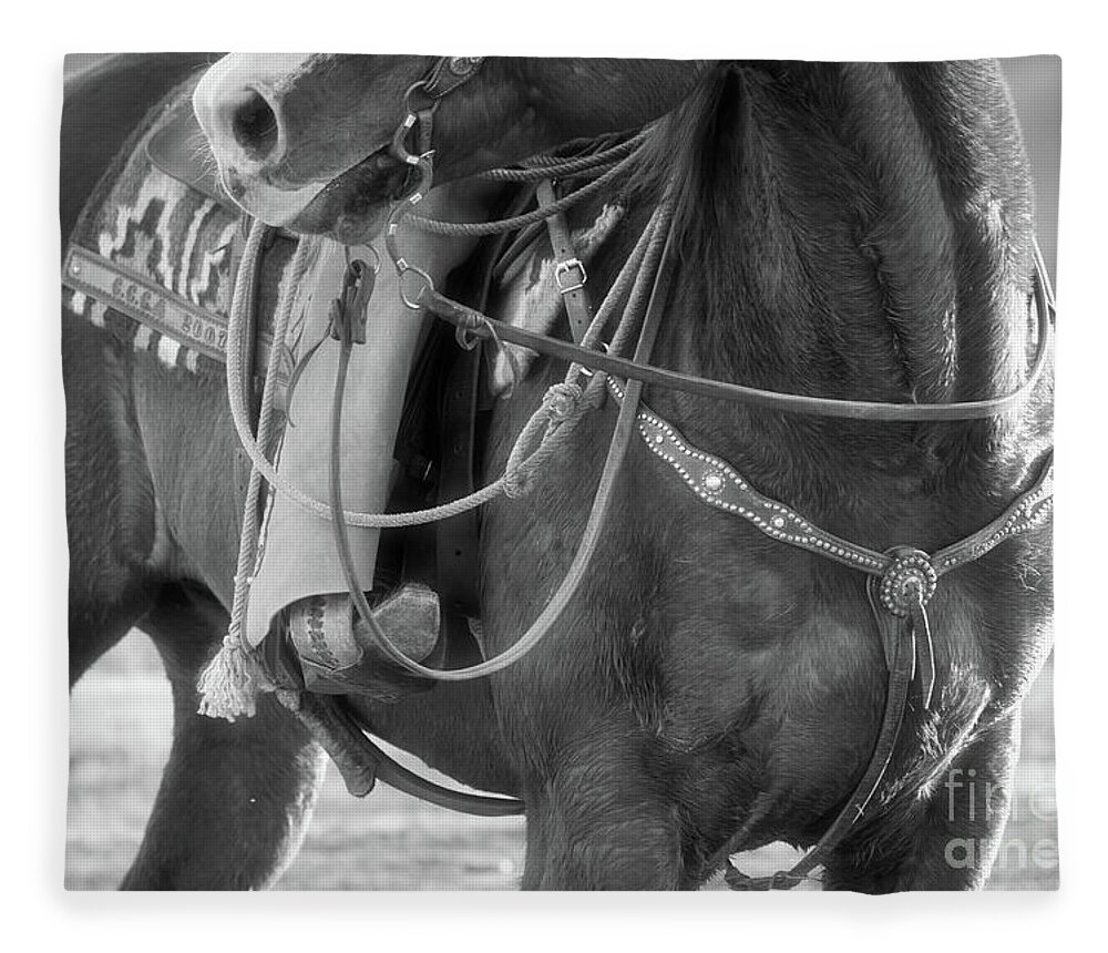 Cowboys Fleece Blanket featuring the photograph Ready to Go by Ana V Ramirez