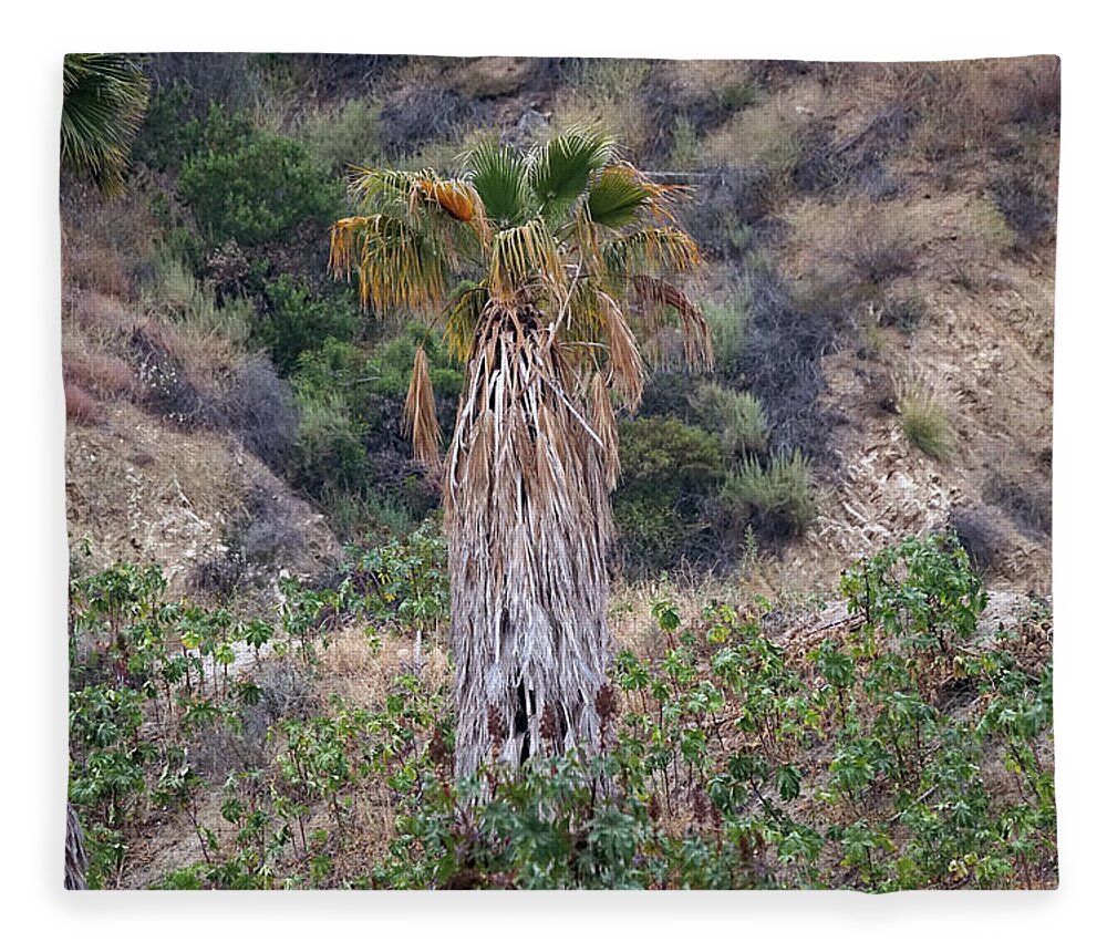 Real Palm Tree Fleece Blanket featuring the photograph Real Palm Tree by Kenneth James