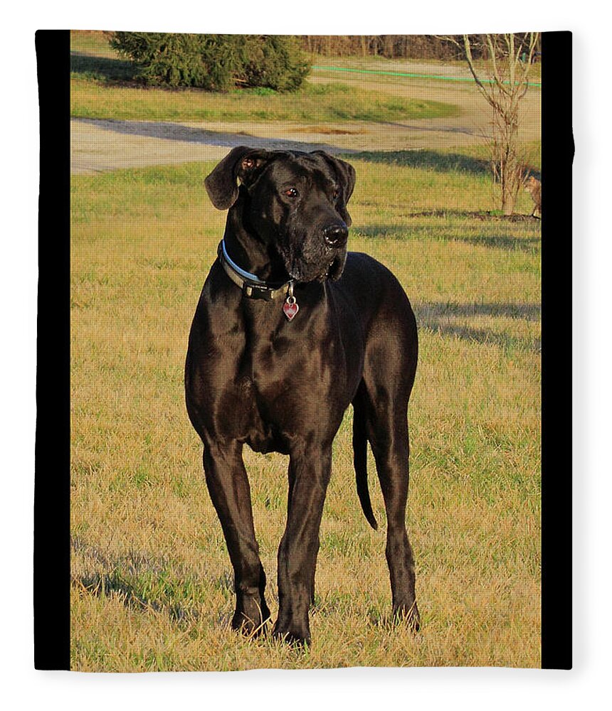 Great Dane Fleece Blanket featuring the photograph 'Really Big Bigg of Crescent Farm' by PJQandFriends Photography