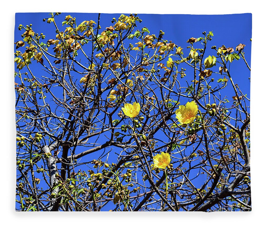 Flower Fleece Blanket featuring the photograph Rebirth by Nicole Lloyd