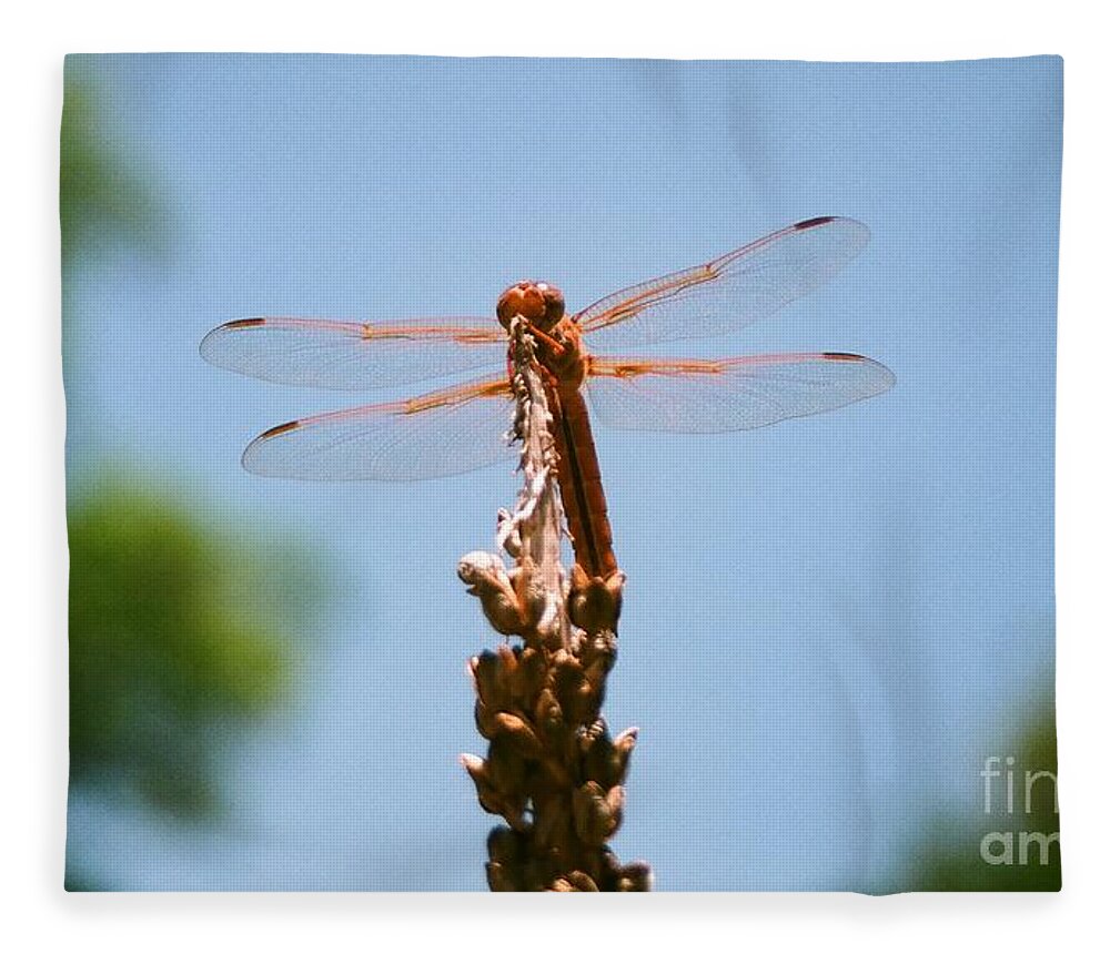 Dragonfly Fleece Blanket featuring the photograph Red Dragonfly by Dean Triolo