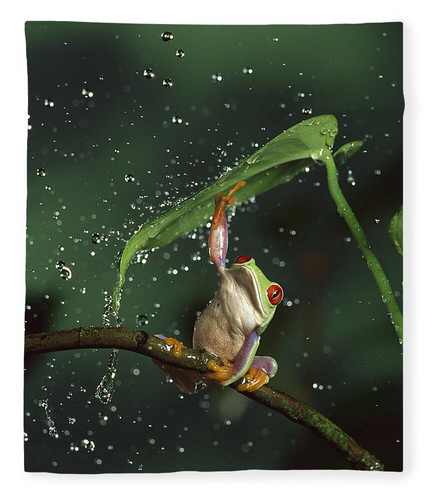 Mp Fleece Blanket featuring the photograph Red-eyed Tree Frog In The Rain by Michael Durham