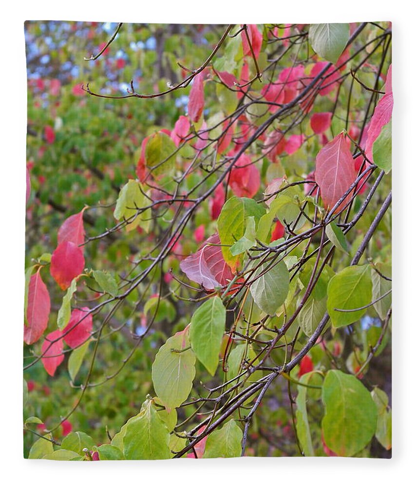 Dogwood Fleece Blanket featuring the photograph Red Green October by Michele Myers