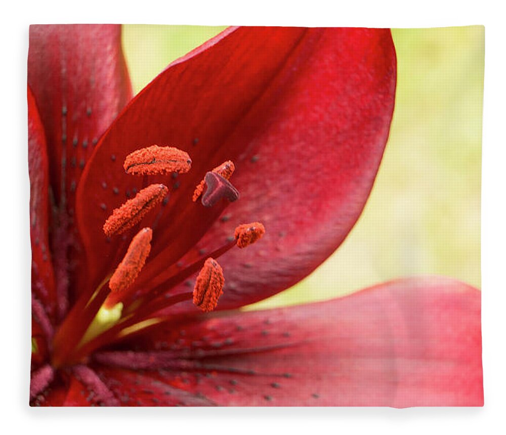 Red Lily Fleece Blanket featuring the photograph Red lily for wealth and prosperity. by Elena Perelman