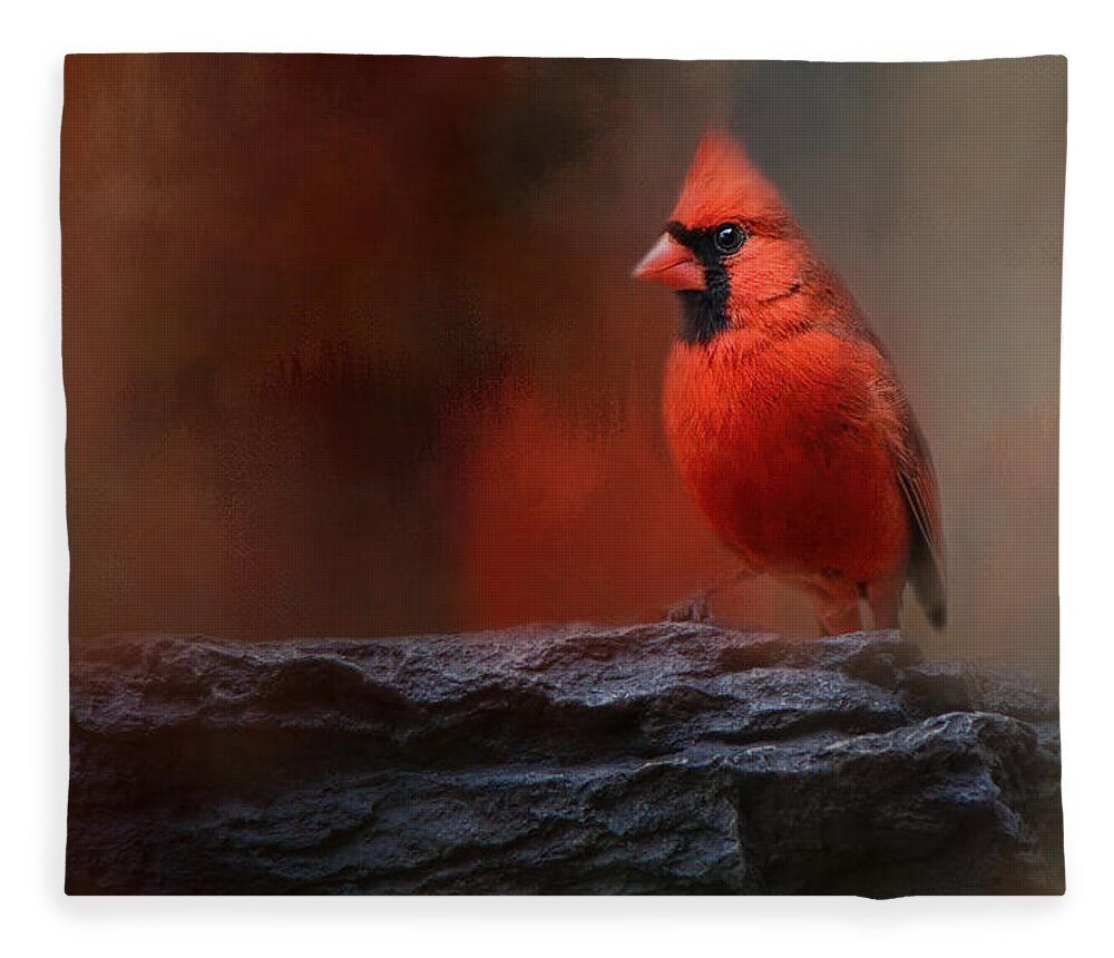 Jai Johnson Fleece Blanket featuring the photograph Red On The Rocks - Cardinal Bird Art by Jai Johnson