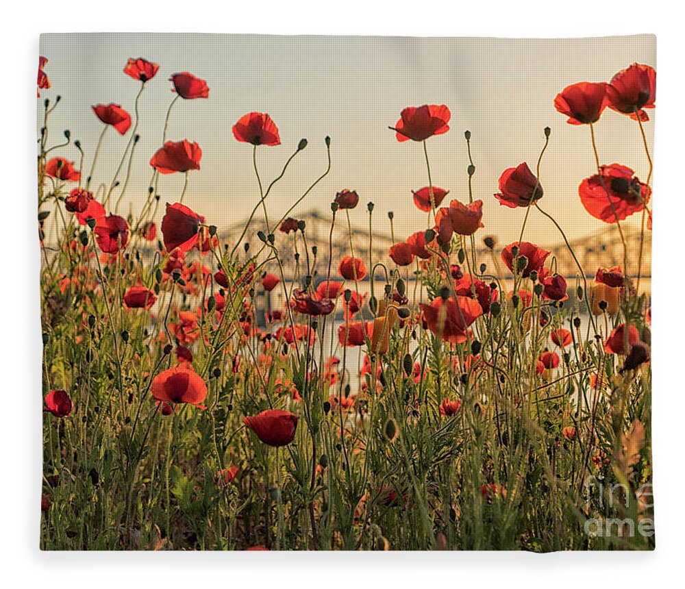 Poppy Fleece Blanket featuring the photograph Red poppy flowers and Natchez bridge by Patricia Hofmeester