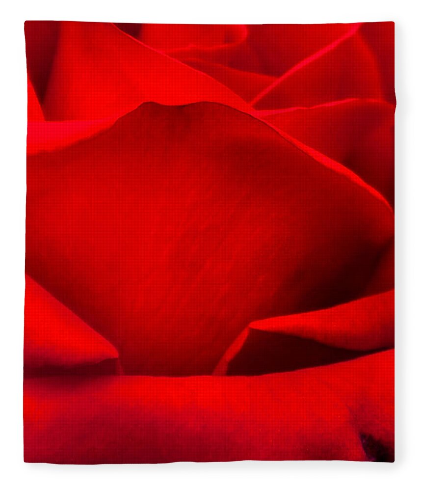 Spring Flowers Fleece Blanket featuring the photograph Red Rose Petals by Az Jackson