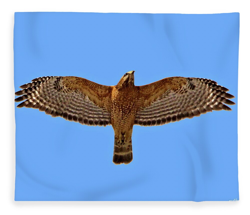 Birds Fleece Blanket featuring the pyrography Red-shouldered Hawk by Harry Moulton