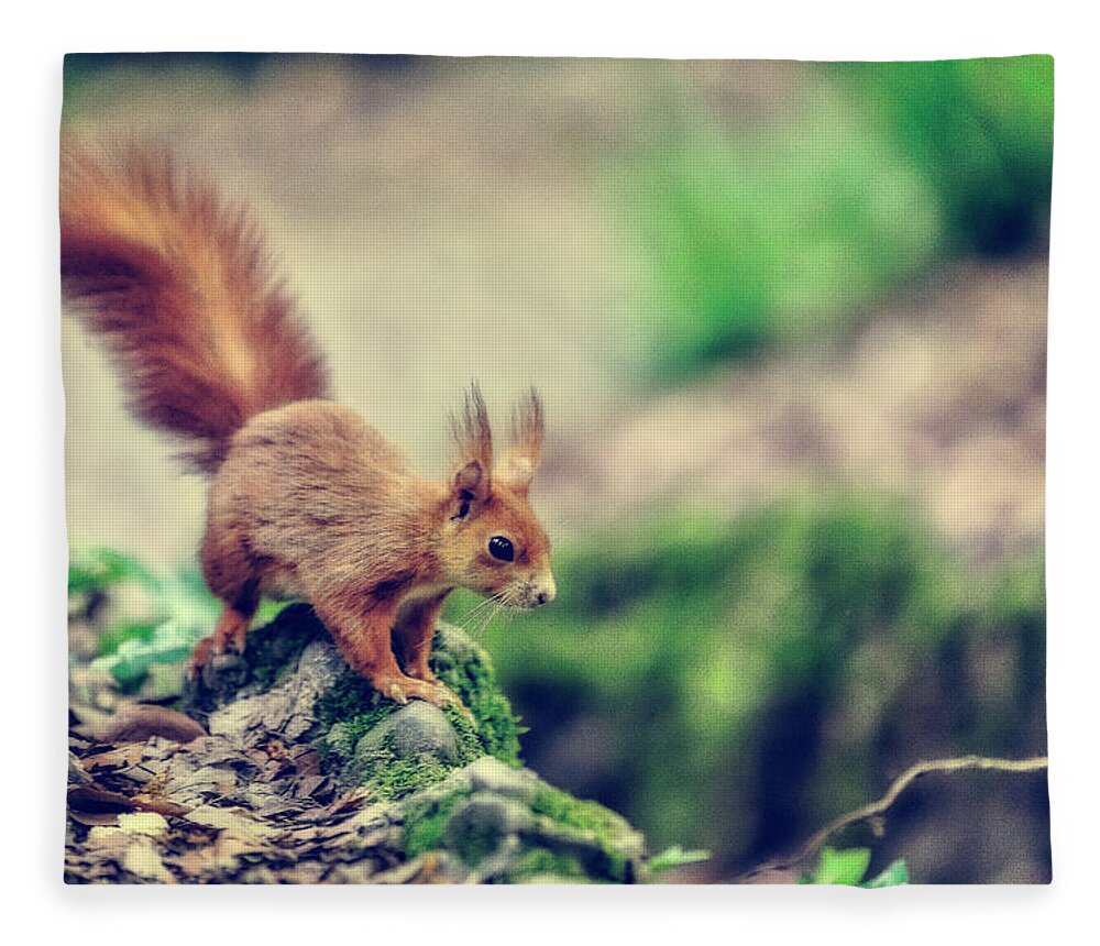 Color Efex Pro Fleece Blanket featuring the photograph Red squirrell by Roberto Pagani