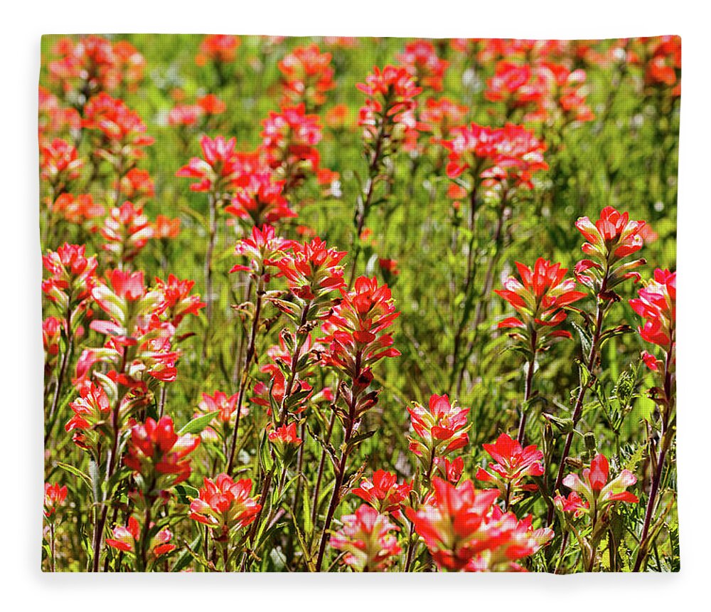 Austin Fleece Blanket featuring the photograph Red Texas Wildflowers by Raul Rodriguez