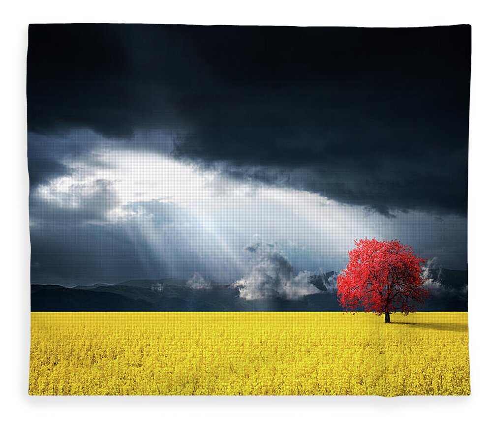 Autumn Fleece Blanket featuring the photograph Red Tree on Canola meadow by Bess Hamiti