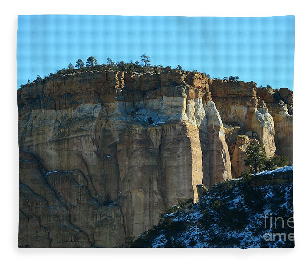 Southwest Landscape Fleece Blanket featuring the photograph Red Velvet by Robert WK Clark