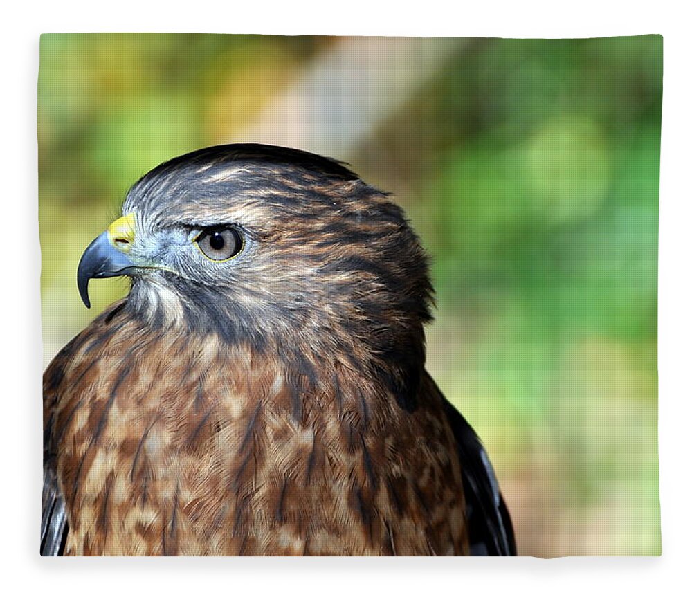 Redtail Hawk Fleece Blanket featuring the photograph Redtail by Marty Koch