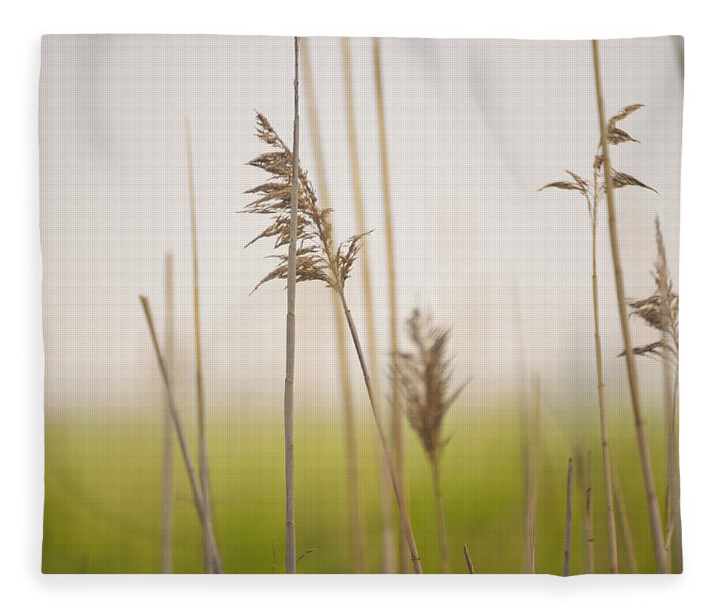 Minimalism Fleece Blanket featuring the photograph Reeds in the Mist III by Marianne Campolongo