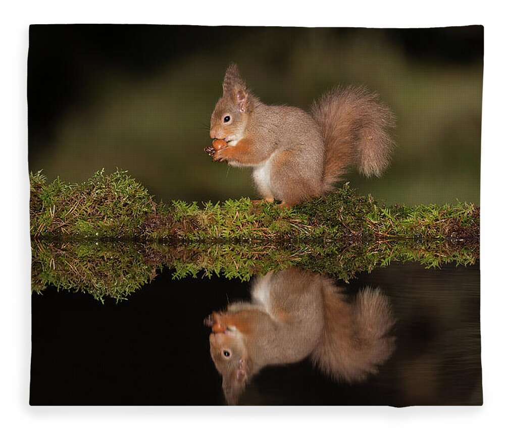 Red Fleece Blanket featuring the photograph Reflection Of A Red by Pete Walkden