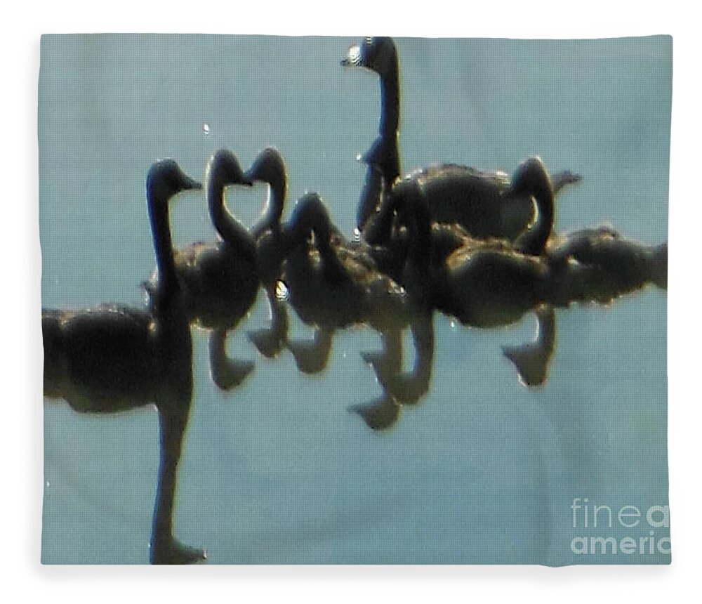 Reflection Of Geese Fleece Blanket featuring the photograph Reflection of Geese by Rockin Docks Deluxephotos