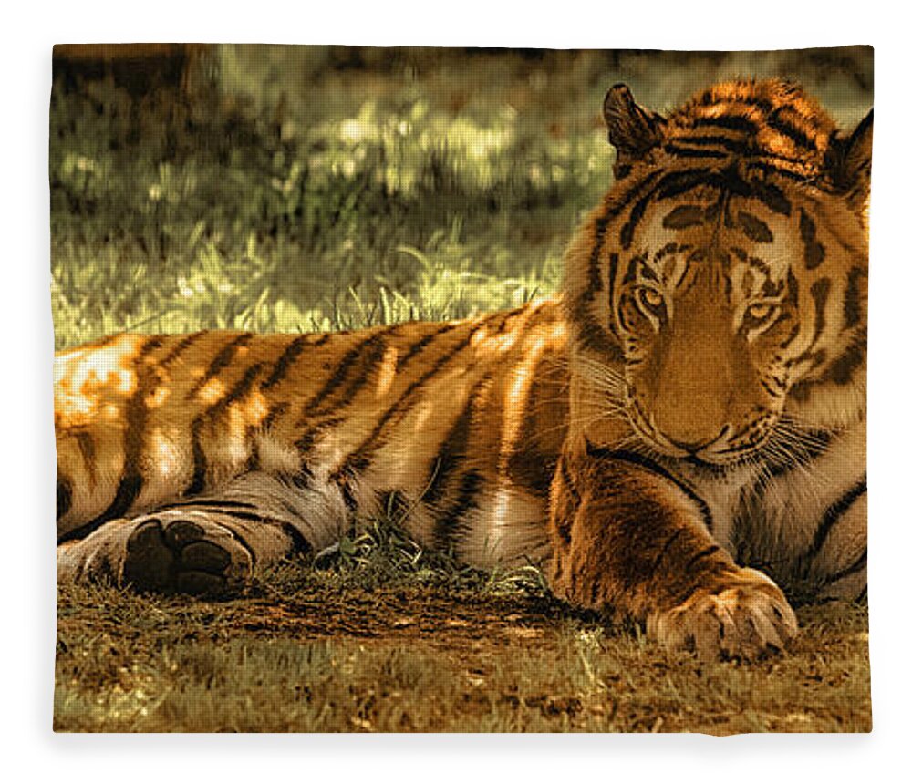 Tiger Fleece Blanket featuring the photograph Resting Tiger by Chris Boulton