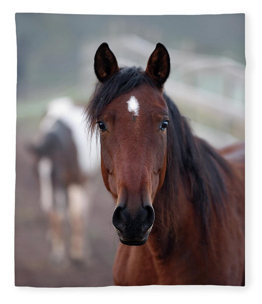 Rosemary Farm Fleece Blanket featuring the photograph Aimee by Carien Schippers