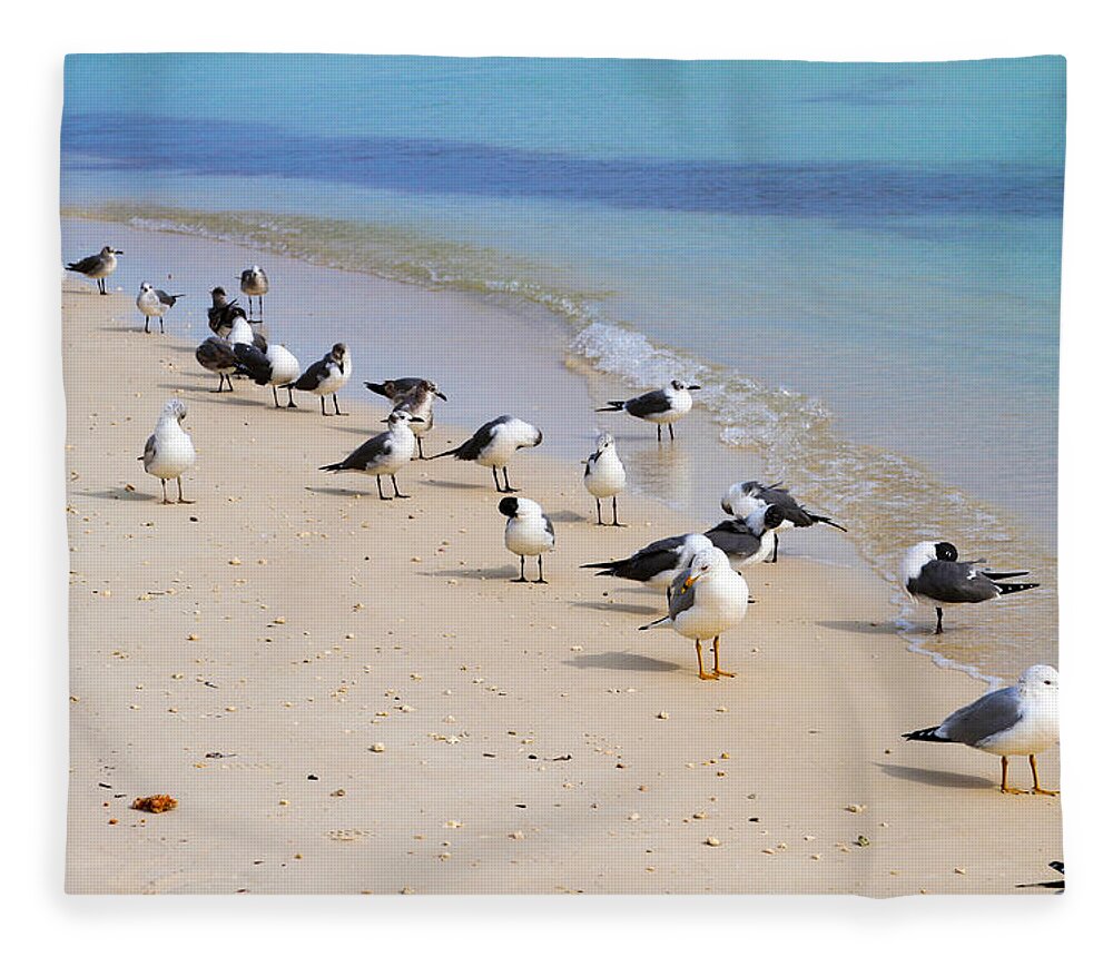 Bonnie Follett Fleece Blanket featuring the photograph Rhapsody in Seabird by Bonnie Follett