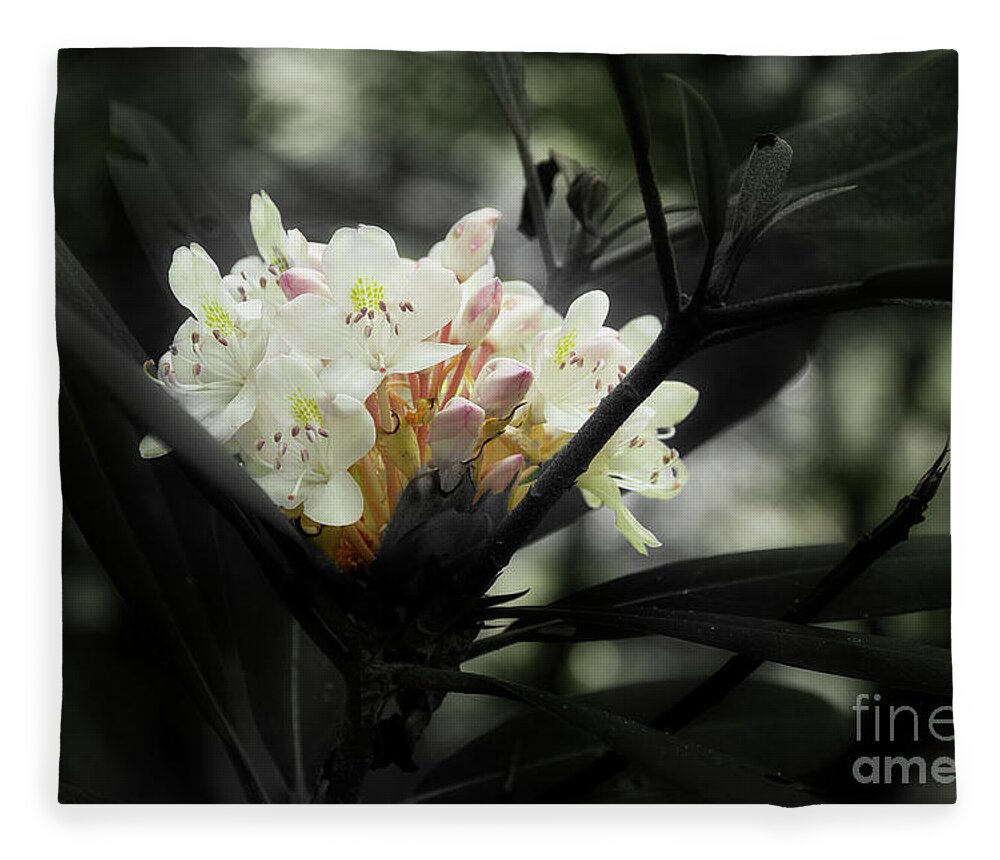 Blooming Rhododendron Fleece Blanket featuring the photograph Rhododendron Blooms by Mike Eingle