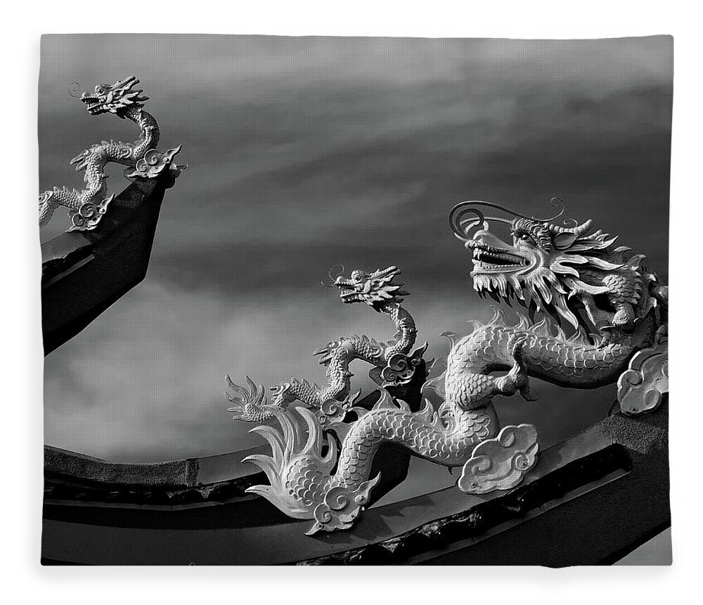 Dragon Sculpture Fleece Blanket featuring the photograph Riders On The Storm by Debra Sabeck