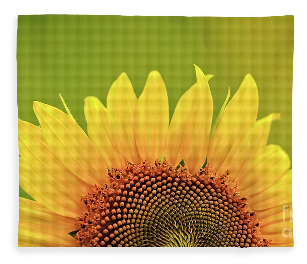 Anderson Sunflower Farm Fleece Blanket featuring the photograph Rise And Shine by Doug Sturgess