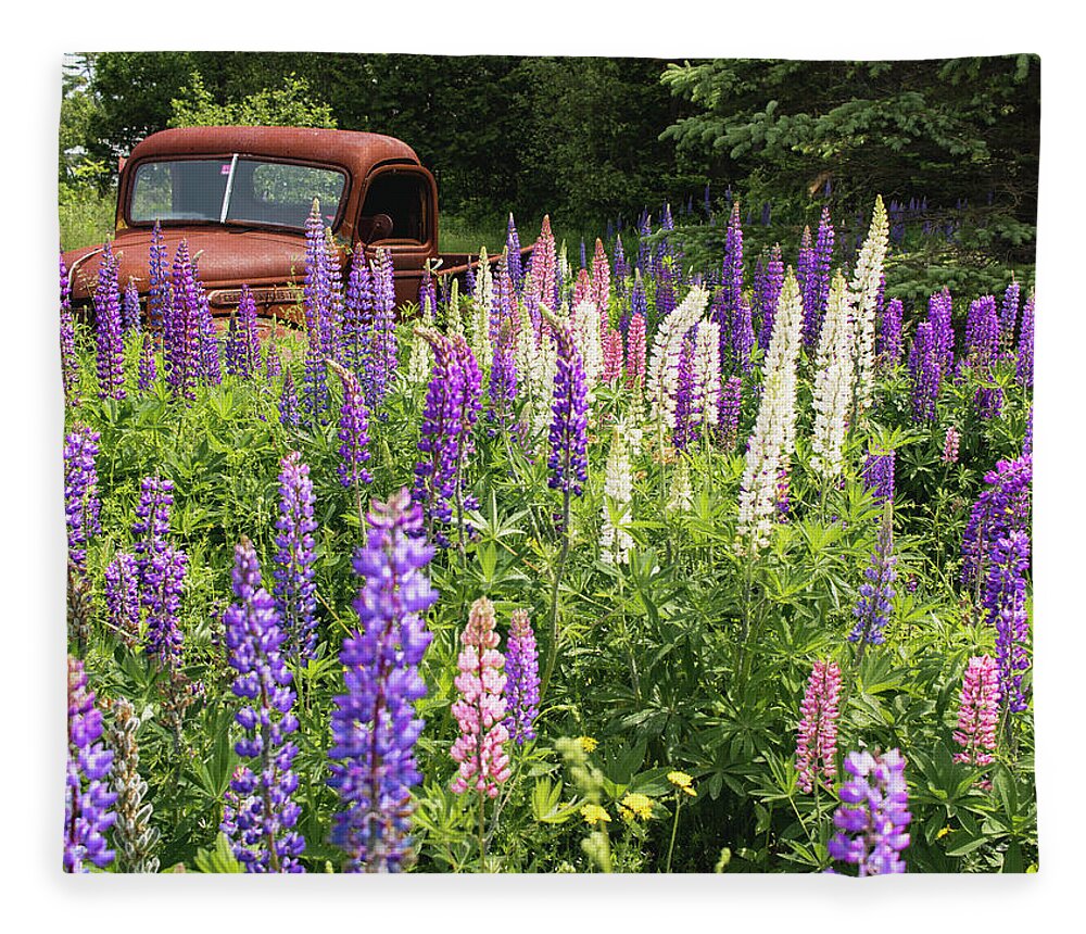 Lupines Fleece Blanket featuring the photograph Roadside Attraction by Holly Ross