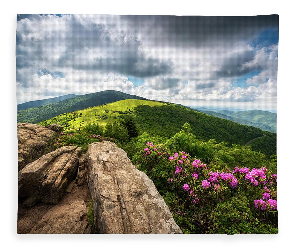 Appalachian Trail Fleece Blanket featuring the photograph Roan Mountain Radiance Appalachian Trail NC TN Mountains by Dave Allen