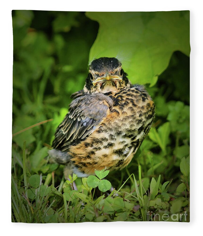 Robin Fleece Blanket featuring the photograph Robin Fledgling by Smilin Eyes Treasures