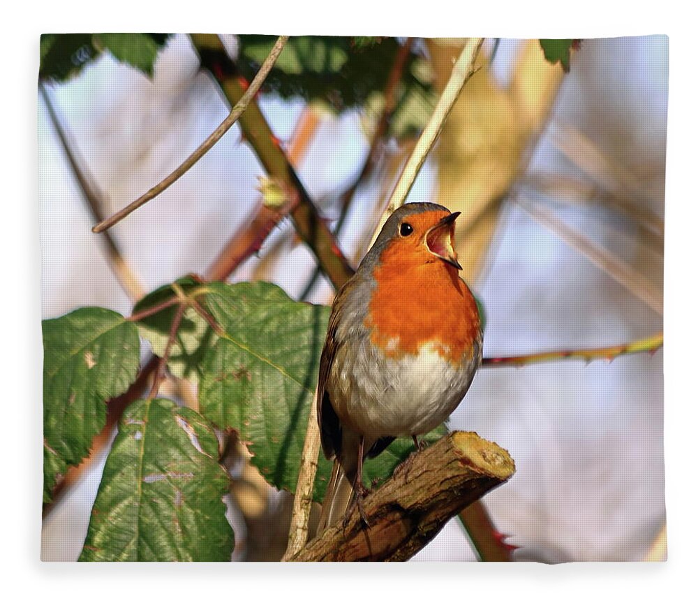 Robin Fleece Blanket featuring the photograph Robin Singing by Jeff Townsend