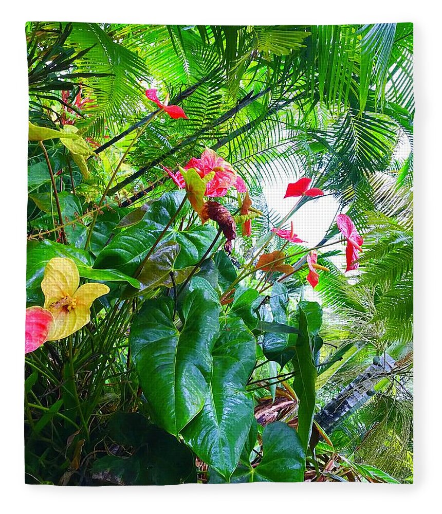 #flowersofaloha #flowers # Flowerpower #aloha #hawaii #aloha #puna #pahoa #thebigisland #anthuriums #ferns Fleece Blanket featuring the photograph Robins Garden with Anthuriums and Ferns by Joalene Young