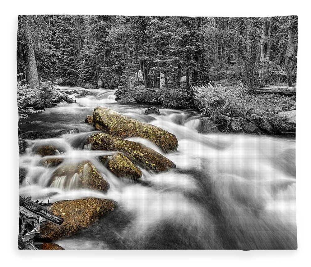 Rocky Fleece Blanket featuring the photograph Rocky Mountain National Forest Stream BWSC by James BO Insogna