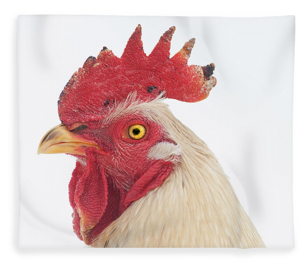 Chicken Fleece Blanket featuring the photograph Rooster Named Spot by Troy Stapek