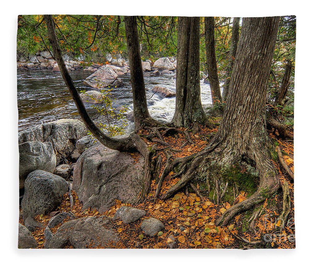 Canada Fleece Blanket featuring the photograph Roots by Doug Gibbons
