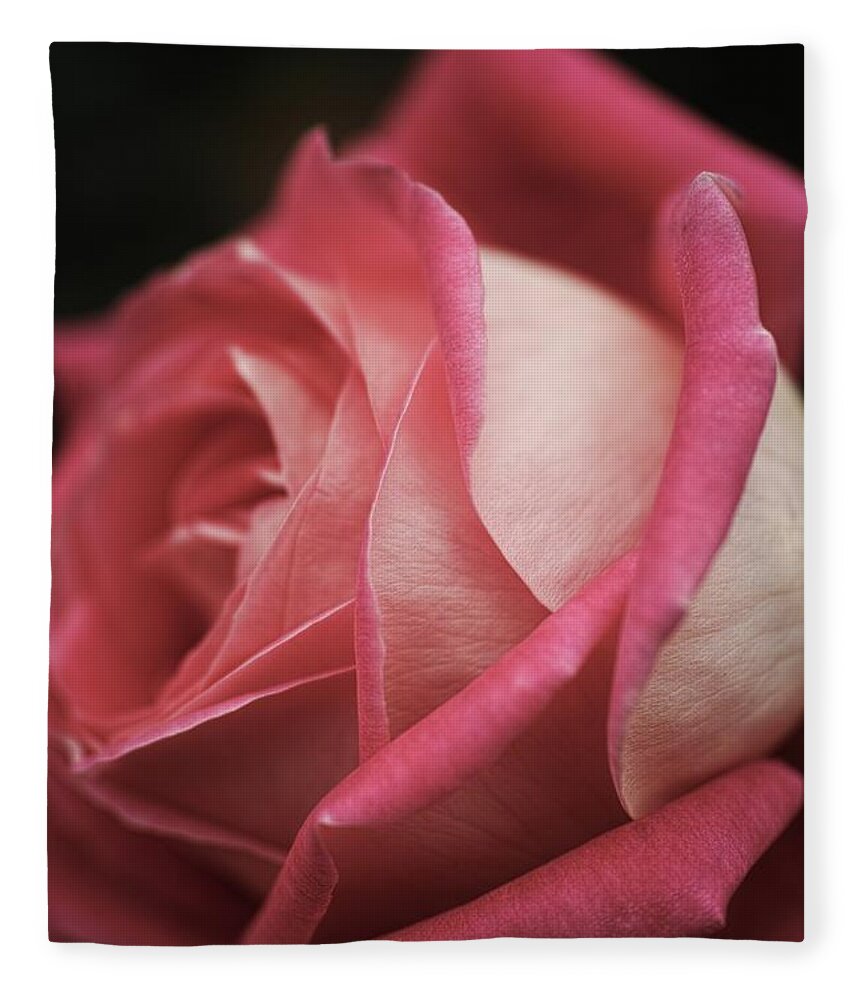 Flower Fleece Blanket featuring the photograph Rose#6 by Yasuhiro Fukui