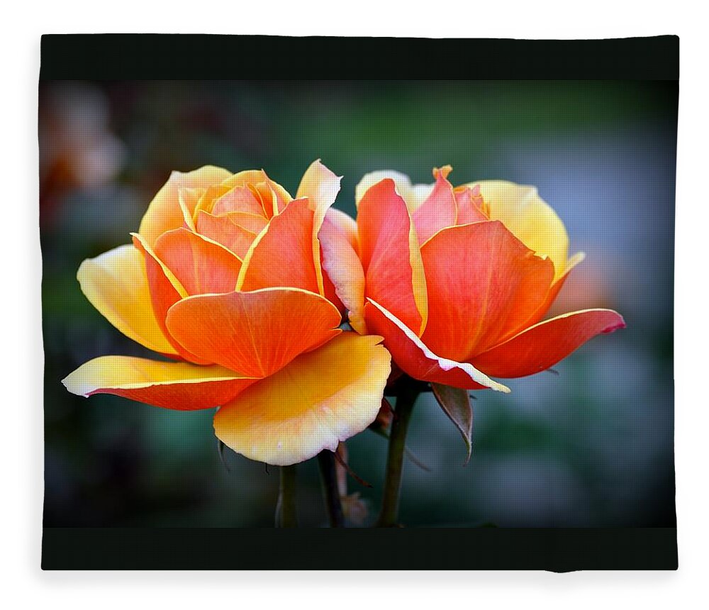 Garden Fleece Blanket featuring the photograph Two Roses by Emerita Wheeling