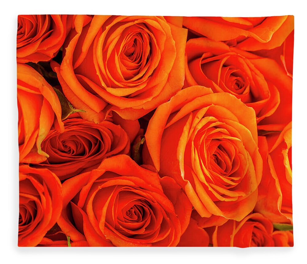 Valentine Fleece Blanket featuring the photograph Roses in Orange by Teri Virbickis