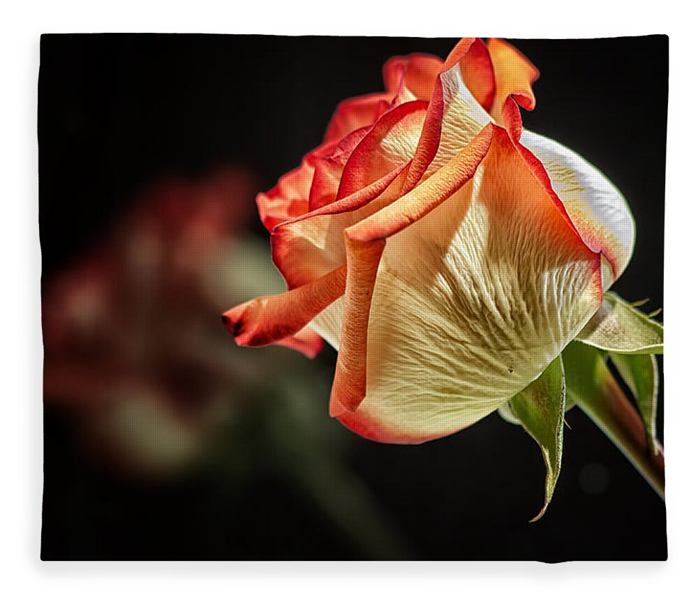 Red Fleece Blanket featuring the photograph Rosy Red Reflections by Bill and Linda Tiepelman