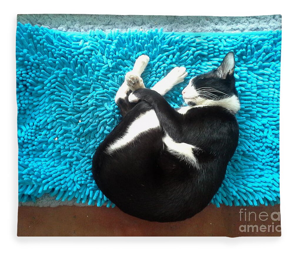 Cat Fleece Blanket featuring the photograph Round Of A Cat by Sukalya Chearanantana