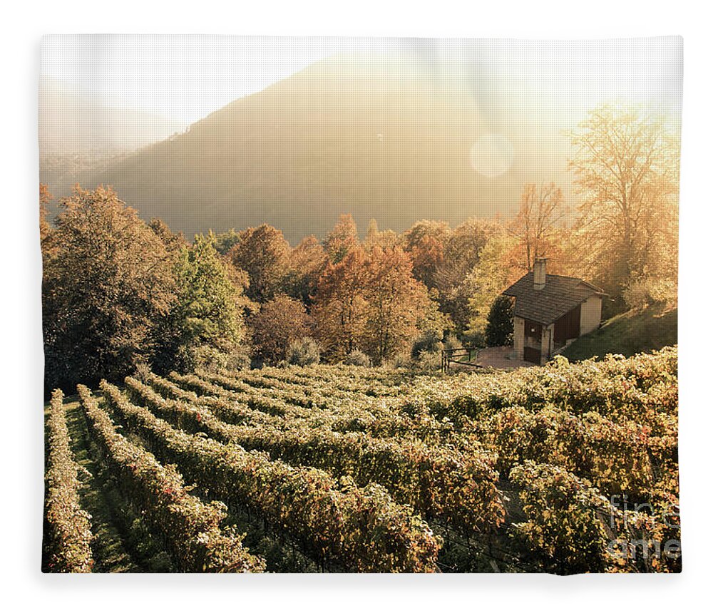 Autumn Fleece Blanket featuring the photograph Rows of vine in a vineyard in ticino, switzerland at sunset by Amanda Mohler
