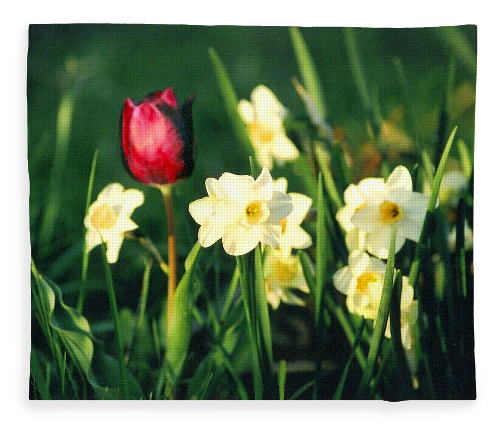 Tulips Fleece Blanket featuring the photograph Royal Spring by Steve Karol