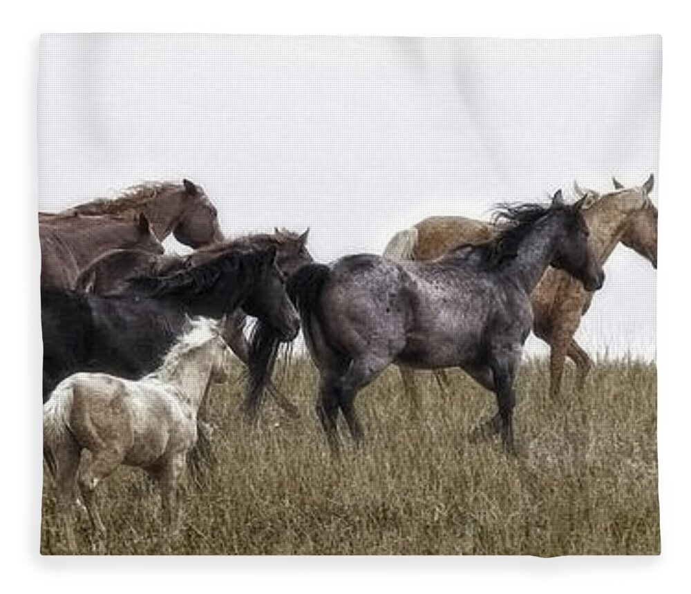 Horses Fleece Blanket featuring the photograph Running on November's Wind by Amanda Smith