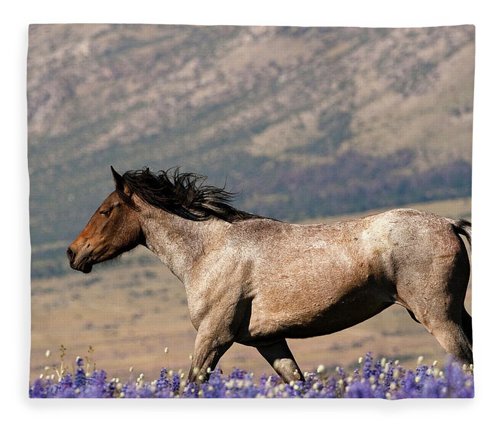 Wild Horse Free Range Montana Fleece Blanket featuring the photograph Running Wild- Wild Stallion by Mark Miller