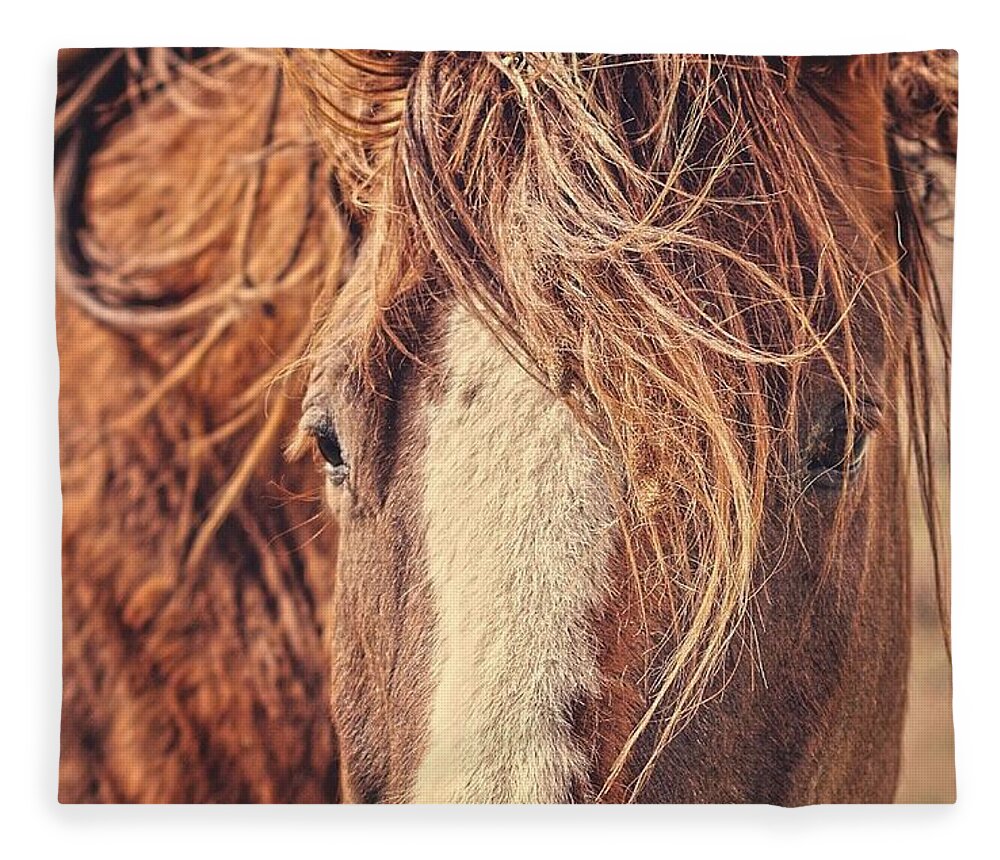 Rustic Fleece Blanket featuring the photograph Rustic Eyes by Amanda Smith