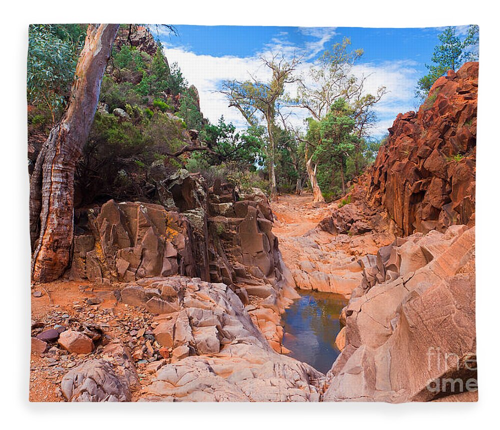 Sacred Canyon Flinders Ranges South Australia Australian Landscape Landscapes Outback Gum Trees Tree Water Erosion Fleece Blanket featuring the photograph Sacred Canyon by Bill Robinson