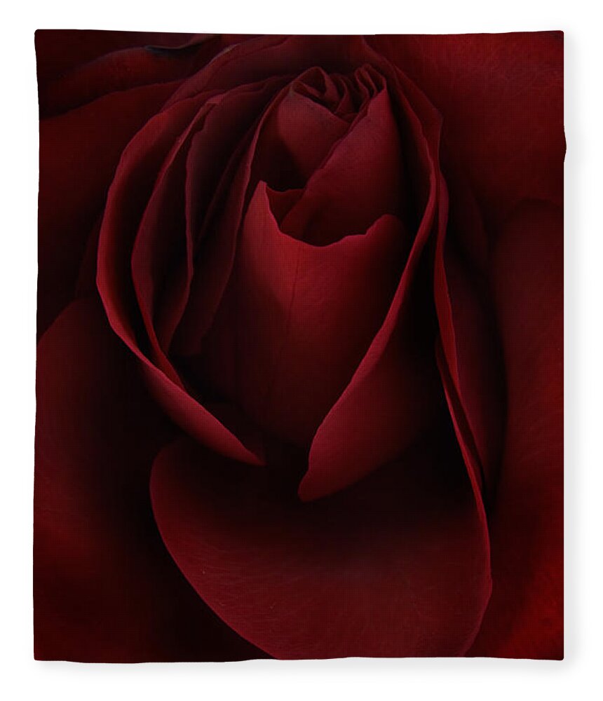 Rose Fleece Blanket featuring the photograph Sad Rose by Ann Garrett