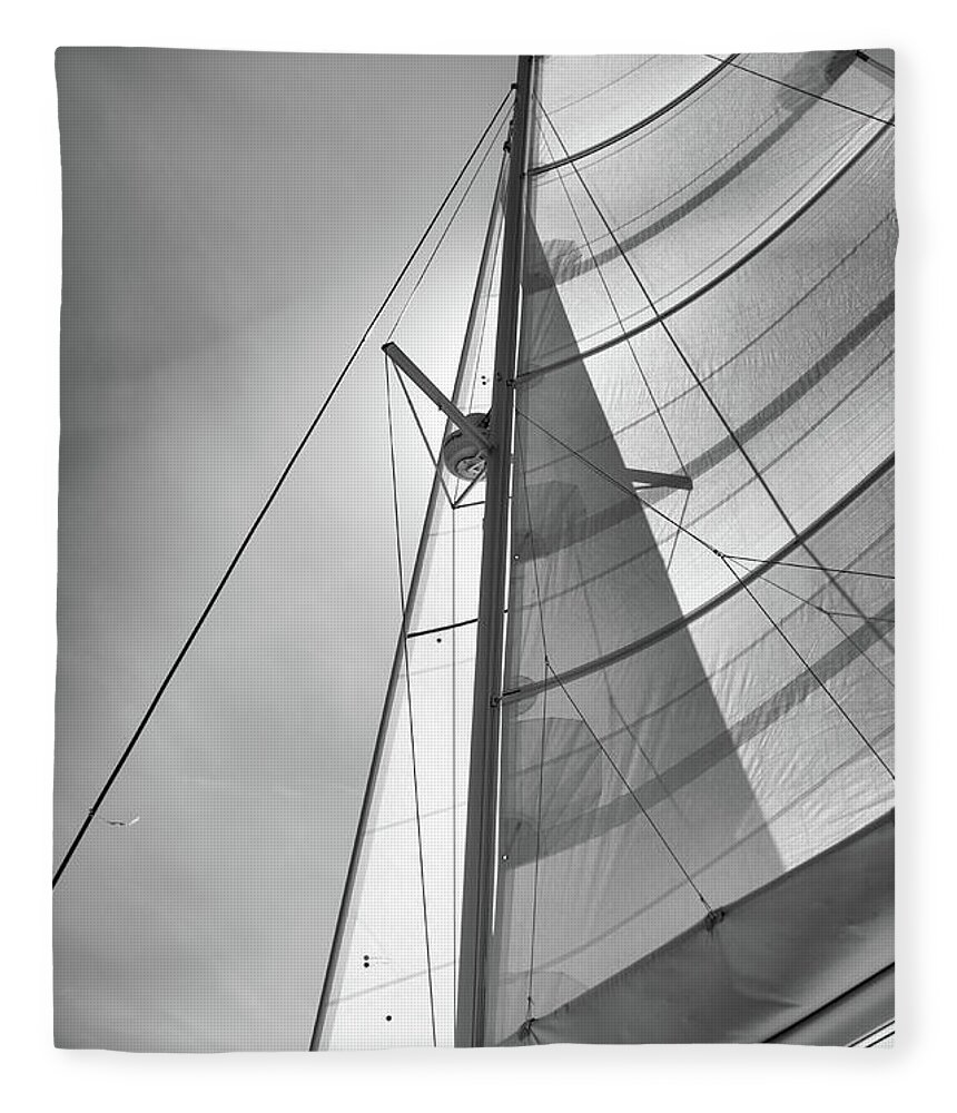 Sailing Fleece Blanket featuring the photograph Sailing by David Hart